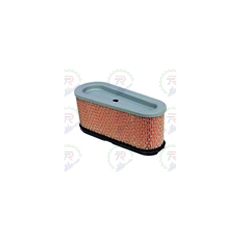 Filtro Aire BRIGGS 12,5 - 15HP Filtro Aire BRIGGS 12,5 - 15HP