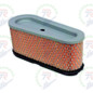 Filtro Aire BRIGGS 12,5 - 15HP Filtro Aire BRIGGS 12,5 - 15HP