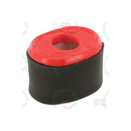 Filtro Aire BRIGGS SERIE 550, 083151,083152