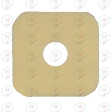 FILTRO AIRE ECHO PB-255