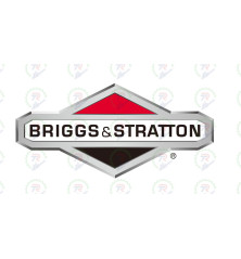 CARBURADOR BRIGGS 08P502 | Recambio Original