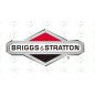 CARBURADOR BRIGGS 08P502