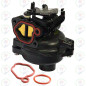 CARBURADOR BRIGGS 09P702