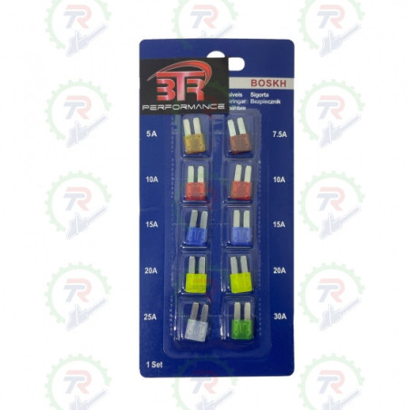 Kit de 10 Fusibles Micro