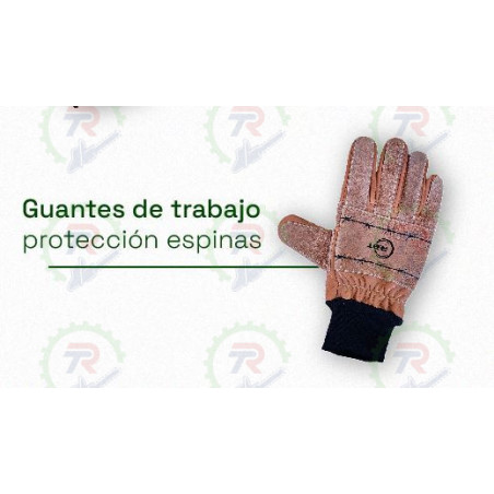 Guantes PROTECCION ESPINAS PATTONES ROBERT’S | Protección Total