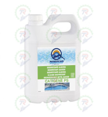 Catigene PS Algicida Piscina | Prevención y Choque