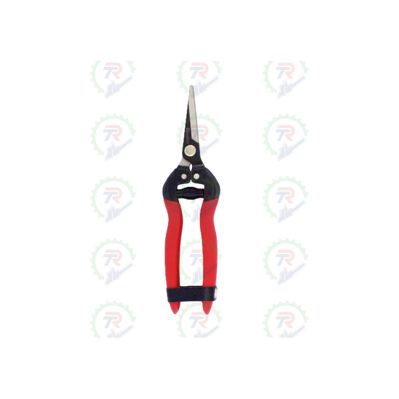 Tijera T-556 Classic Tijera T-556 Classic