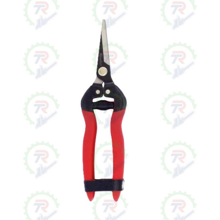 Tijera T-556 Classic