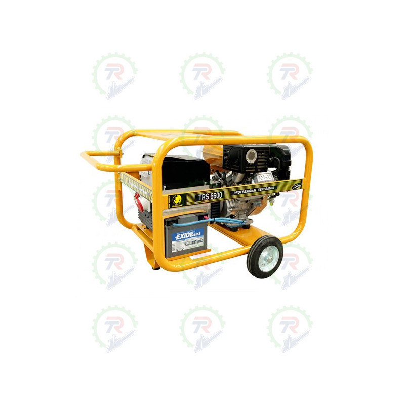 Grupo Electrogeno TRS 7000 BENZA