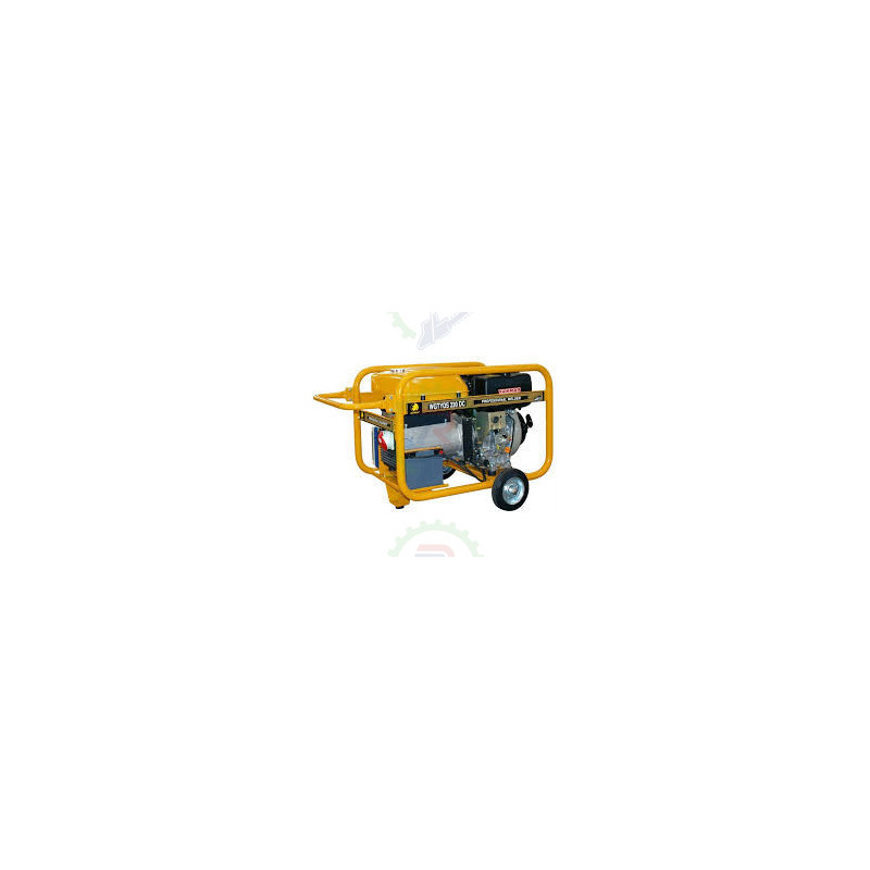 Motosoldadora Generador WGTYDS 20 DC