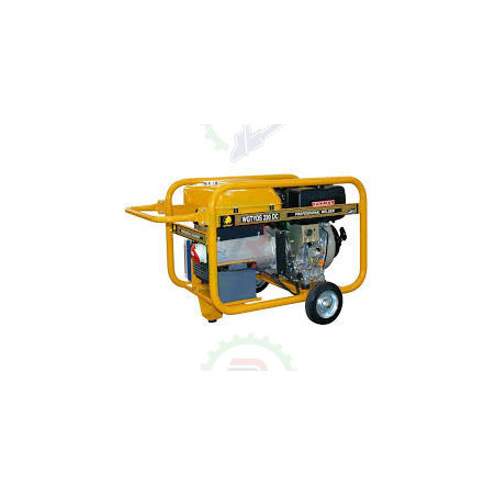 Motosoldadora Generador WGTYDS 20 DC