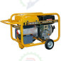 Motosoldadora Generador WGTYDS 20 DC