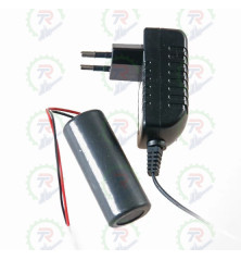 Kit de Batería y Cargador para Pulverizadores Pulmic Fenix 5L/10L