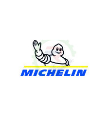 Compresor MICHELIN CA-MCX500/808