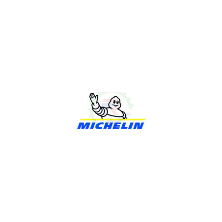 Compresor MICHELIN CA-MCX500/814
