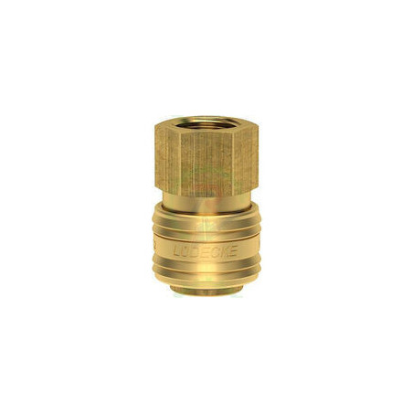 Acople EWO macho 1/4" Ludecke