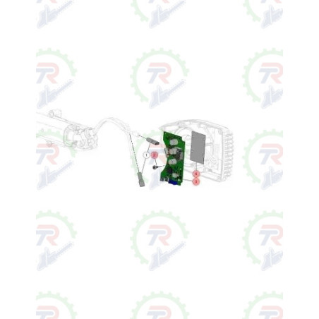 Tarjeta Cabeza PELLEN